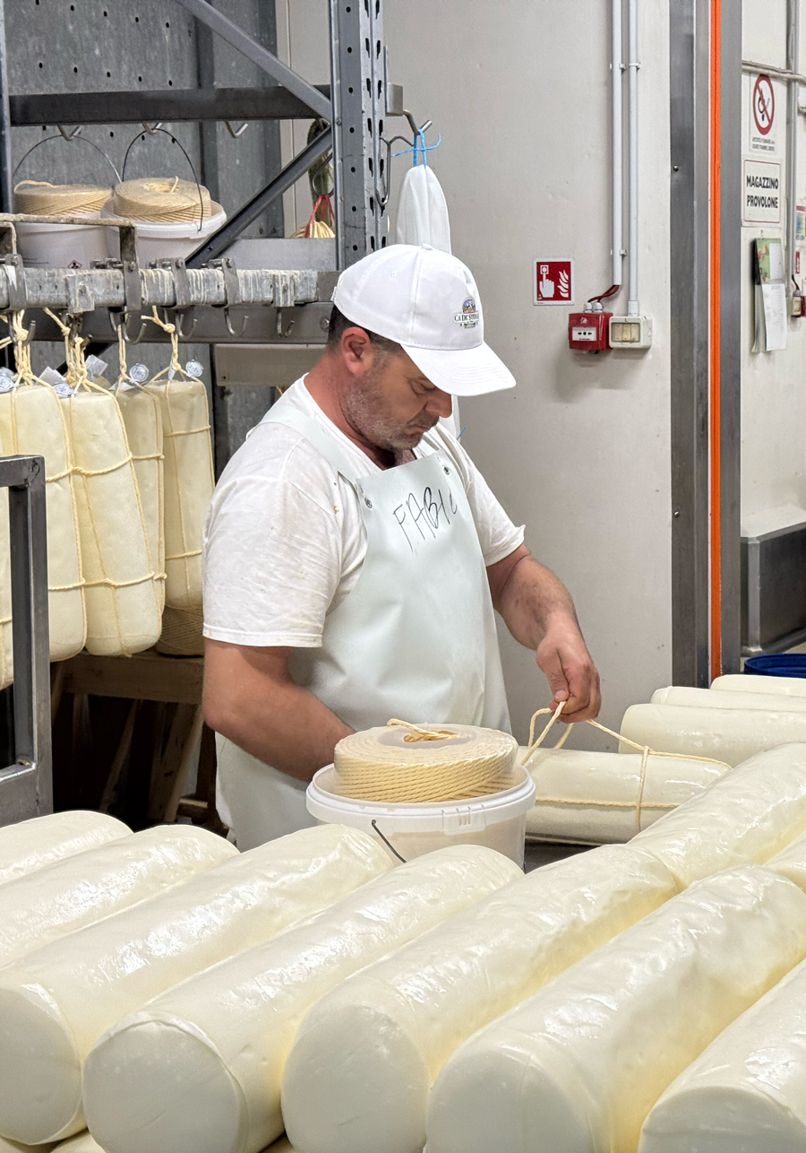 Provolone