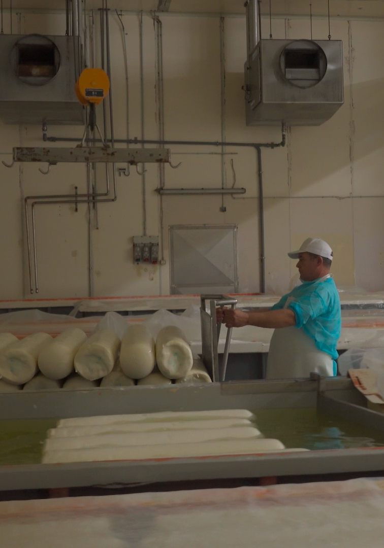Provolone Valpadana VR
