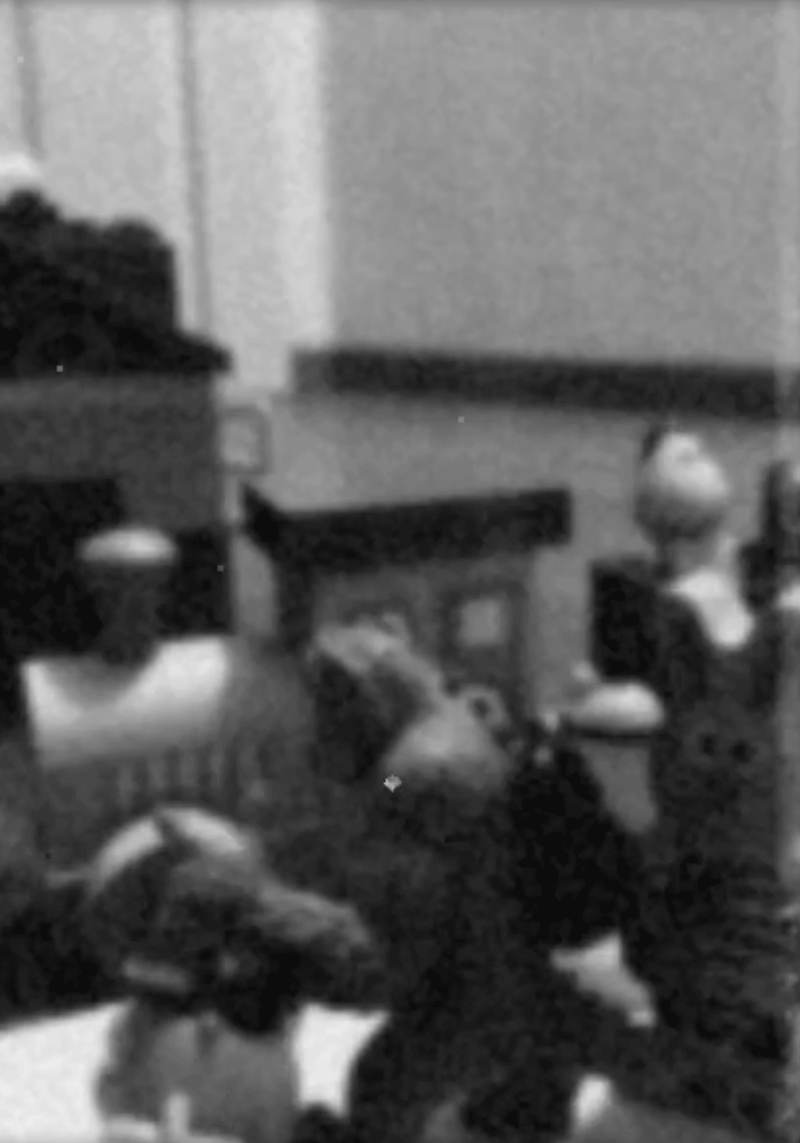 L'arrivo del treno nella camera di Iris